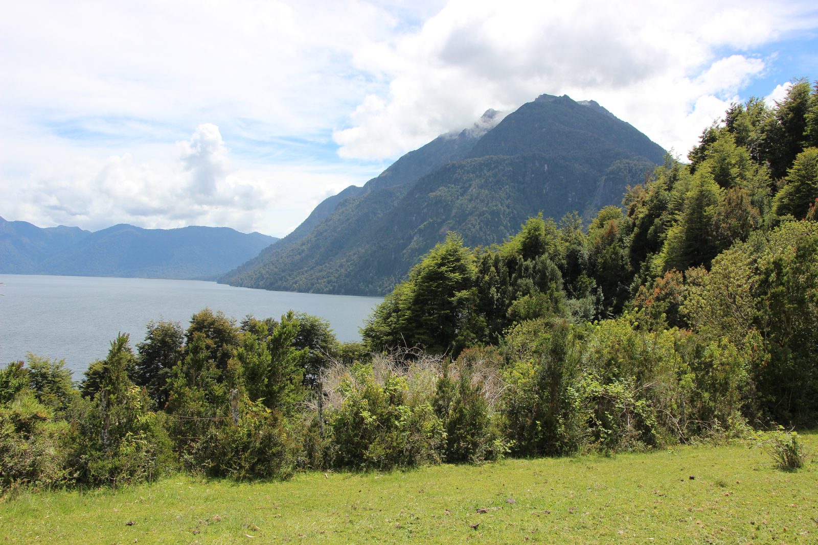 Lago Chapo visto desde una pradera, con cordillera al fondo