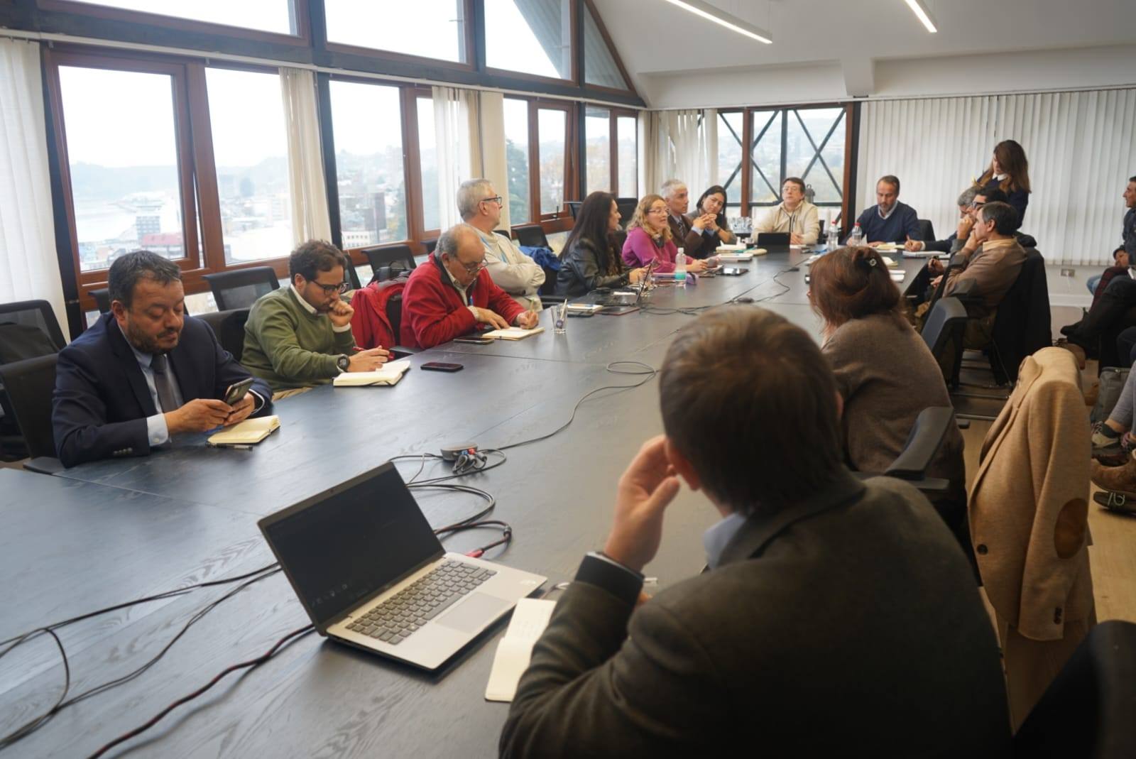 Presentación del Plan ante el Consejo Regional de Los Lagos